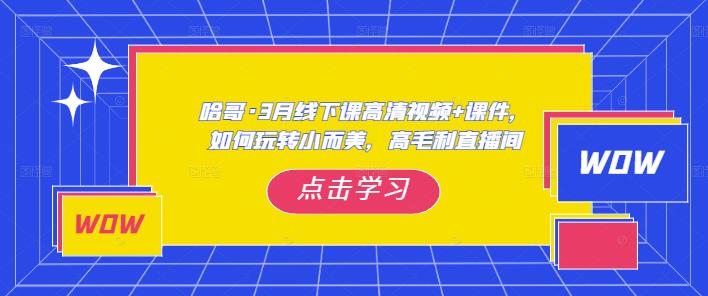 哈哥·3月线下实操课高清视频+课件,如何玩转小而美,高毛利直播间-老胡轻创社