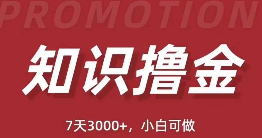 抖音知识撸金项目：简单粗暴日入1000+执行力强当天见收益(教程+资料)-老胡轻创社