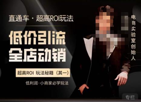 电商冰可乐·直通车·《低价引流·全店动销》,直通车·超高ROI玩法(其一)全店动销必学玩法-老胡轻创社