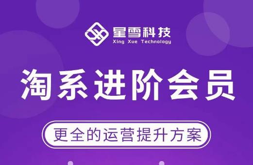 星雪·淘系进阶课程,快速提升突破技能流量瓶颈必备(更新2023年5月)-老胡轻创社
