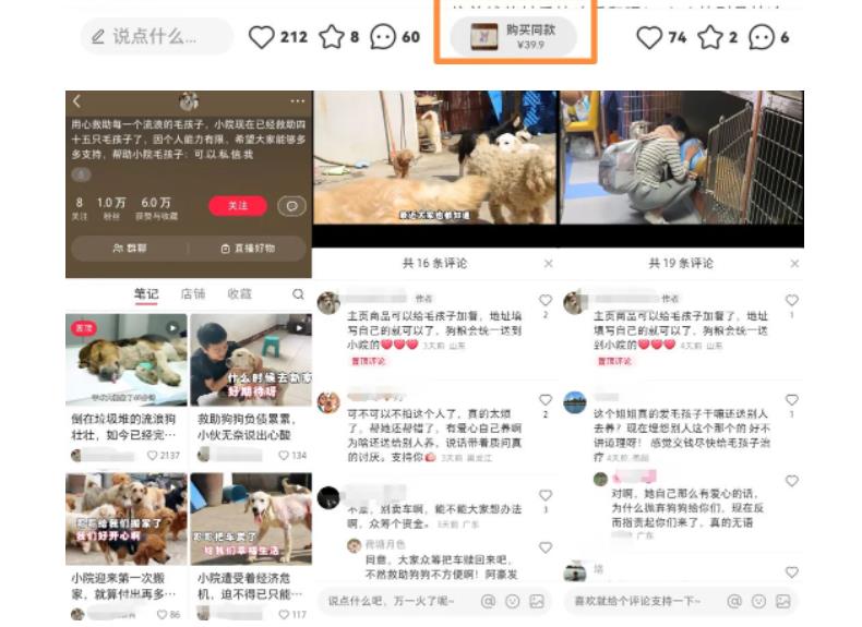 小红书蓝海类赛道:小动物打赏与购买变现副业项目,一条龙玩法分享给你!-老胡轻创社