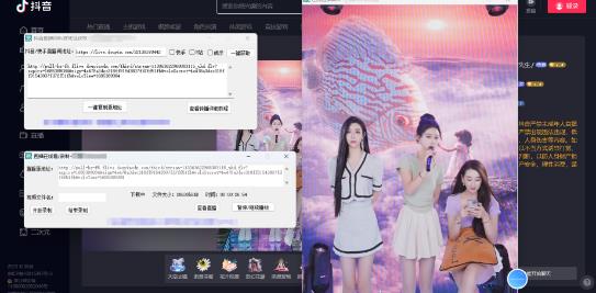 最新电脑版抖音/快手/B站直播源获取+直播间实时录制+直播转播软件【全套软件+详细教程】-老胡轻创社