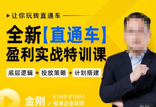 玺承·全新直通车盈利实战特训课,从底层逻辑详细拆解,从底层,策略到搭建,让你玩转直通车-老胡轻创社