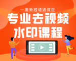 专业去视频水印教程 静态水印、动态水印、文字水印、图片水印一套教程通通搞定-老胡轻创社