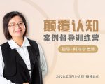 颠覆认知，案例督导训练营：打破旧模式 引领新思维-老胡轻创社
