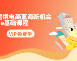 2020跨境电商蓝海新机会-SHOPEE基础课程:简单粗暴日报爆千单(27节课)-老胡轻创社