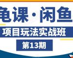 龟课·闲鱼项目玩法实战班第13期,轻松玩转闲鱼,多渠道多方法引流到私域流量池-老胡轻创社