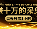 年赚十万的采集站,每天却只需要1小时,一年时间采集出一个售价10W以上的网站-老胡轻创社