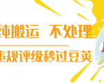 抖音纯搬运 不处理 小技巧,30秒发一个作品,避免违规评级秒过豆荚-老胡轻创社