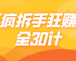 三疯拆手狂赚计,全30计课程-老胡轻创社