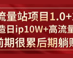《大流量站项目1.0+2.0》打造日IP10W+高流量站,前期很累后期躺赚-老胡轻创社