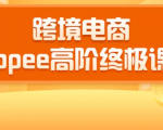 2020跨境电商蓝海新机会-SHOPEE大卖特训营：高阶终极课程（16节课）-老胡轻创社