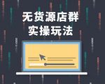 无货源店群实操玩法，蓝海选品的独特思路，店群软件操作方法（45节视频课）-老胡轻创社