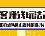 淘客赚钱玩法2.0,阳光绿色超正规项目,月躺赚2W+【视频课程】-老胡轻创社