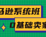 亚马逊系统班，专为0基础卖家量身打造，亚马逊运营流程与架构-老胡轻创社