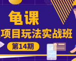 龟课·闲鱼项目玩法实战班第14期,批量细节玩法,一个月收益几万-老胡轻创社