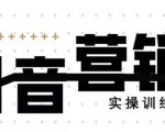 《12天线上抖音营销实操训练营》通过框架布局实现自动化引流变现-老胡轻创社