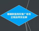 臻曦联盟抖音高权重广场号无人直播正规品带货全解-老胡轻创社