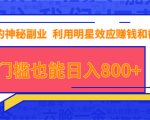 抖音上神秘副业项目,利用明星效应赚钱和截流,无门槛也能日入800+-老胡轻创社