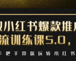 小红书爆款推广引流训练课5.0，手把手带你玩转小红书（17节实操视频+话术）-老胡轻创社