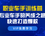 职业车手训练营:专业车手的养成之路,快速打造爆款(8节-无水印直播课)-老胡轻创社