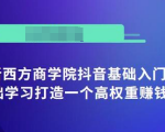 抖音基础入门班:小白0基础学习打造一个高权重赚钱的抖音号-老胡轻创社