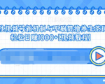 视频号新机制与不刷赞撸养生茶玩法，轻松日赚1000+-老胡轻创社