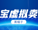 黑帽子淘宝虚拟卖货项目,单店每月收入5000+-老胡轻创社