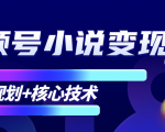 柚子微信视频号小说变现项目,全新玩法零基础也能月入10000+【核心技术】-老胡轻创社