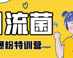 引流菌2020全网爆粉特训营(QQ群霸屏,知乎引流,群裂变,自动化引流等)-老胡轻创社