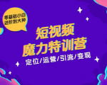 零基础小白进阶到大神《短视频魔力特训营》定位-运营-引流-变现-老胡轻创社