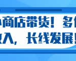 微信小商店带货，爆单多倍收入，长期复利循环！日赚300-800元不等-老胡轻创社