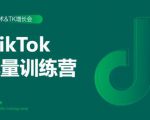 2020最新TikTok流量增长训练营(完结)附PPT-老胡轻创社