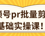 视频号PR批量剪辑0基础实操课,PR批量处理伪原创一分钟一个视频【共2节】-老胡轻创社