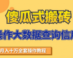 搬砖操作大数据查询信用项目赚钱教程，祝你快速月入6万-老胡轻创社