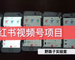 野路子小红书视频号1.0项目,直接上手操作就能赚钱的视频号项目-老胡轻创社
