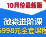 微淼理财进阶课全套视频:助你早点实现财务自由,理论学习+案例分析+实操-老胡轻创社