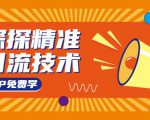 探探精准引流技术：探探上模拟器+探探做号方法+模拟器话术+视频演示-老胡轻创社