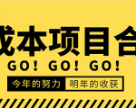 低成本零成本项目合集：赚钱快的慢的、暴利的，线上线下的，价值万元资料-老胡轻创社