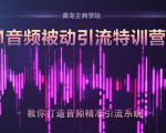 黄岛主·FM音频引流特训营2.0:独家引流模式,单账号50W+播放量,轻松变现-老胡轻创社
