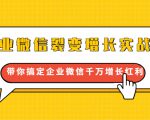 企业微信裂变增长实战课:带你搞定企业微信千万增长红利,新流量-新玩法-老胡轻创社