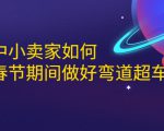 淘宝中小卖家如何利用春节期间做好弯道超车，如何做到月销售额20W+-老胡轻创社