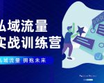 私域流量实战营:7天收获属于您的私域流量池,给你总结出可复制的套路-老胡轻创社