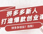 拼多多新人打造爆款创业课:快速引流持续出单,适用于所有新人-老胡轻创社