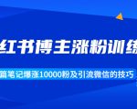 小红书博主涨粉训练营:一篇笔记爆涨10000粉及引流微信的技巧-老胡轻创社