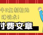 —牛B复制粘贴赚钱术！牛逼持久收入极品闷声发财项目，首发揭秘独此一家！-老胡轻创社