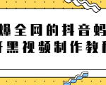 火爆全网的抖音“蚂蚁牙黑”视频制作教程，附软件【视频教程】-老胡轻创社