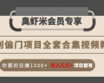 暴利偏门项目全套合集视频教程:你要的日赚1000+月入几万+项目都有-老胡轻创社