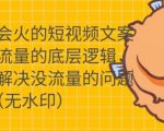 只说话就会火的短视频文案课,从根本上解决没流量的问题-老胡轻创社