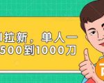 Paypal拉新赚美刀项目，单人一天利润500-1000刀【视频课程】-老胡轻创社